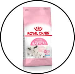 Croquettes pour chatte en gestation ou lactation et chatons