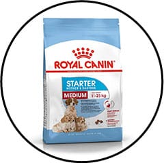 Croquettes pour chienne en gestation ou lactation et chiots