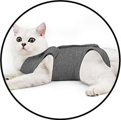 Gilet de protection pour chat
