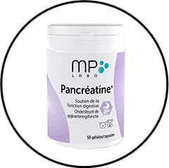 pancreatine-insuffisance-pancreatique-chat-chien