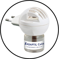 adaptil-chien-vieux-anxieux-pheromones