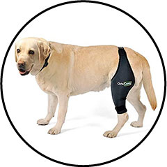 orthèse pour chien souffrant d'arthrose