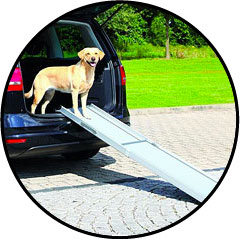Rampe de voiture pour chien souffrant d'arthrose