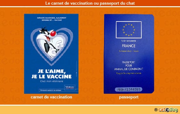 carnet-vaccination-passeport-veterinaire-chat-catedog