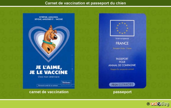 carnet_vaccination_passeport_chien