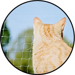 Chat aveugle et filet de protection pour balcon et fenêtre