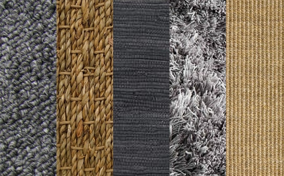 Chat et chien aveugle et tapis