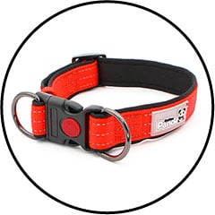 Collier recommandé pour le chien ou le chiot