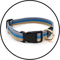 Collier recommandé pour le chien ou le chiot