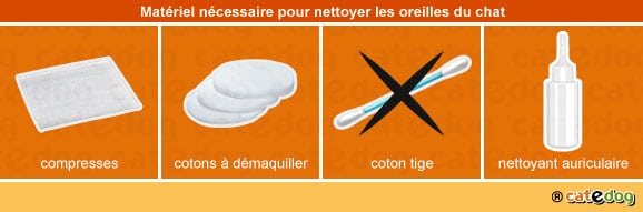 comment-compresse-coton-nettoyer-oreille-chat