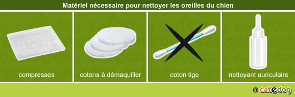 comment-compresse-coton-nettoyer-oreille-chien