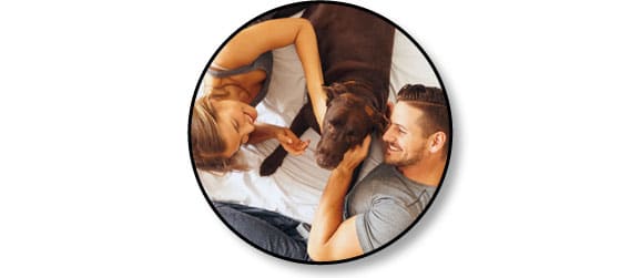 conseil-reussir-adoption-chien-adulte