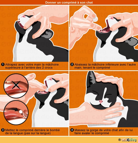 donner-vermifuger-vermifuge-comprime-medicament-chat