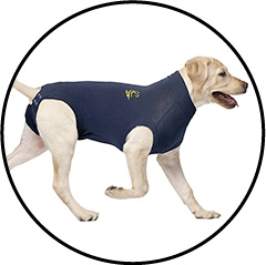 Gilet de protection pour la cicatrisation du chien après stérilisation ou castration