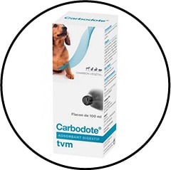 intoxication alimentaire et empoisonnement chez le chien