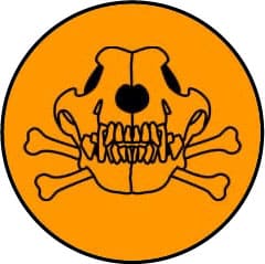 intoxication alimentaire et empoisonnement chez le chien