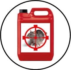 intoxication alimentaire et empoisonnement chez le chien