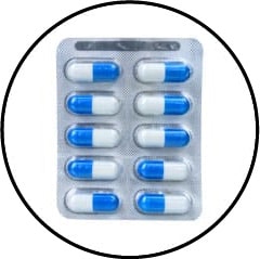 intoxication alimentaire et empoisonnement chez le chien