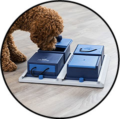 Jouet d'intelligence et de stratégie pour chien Dog Activity