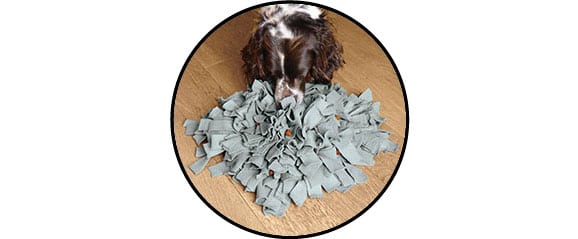 jouet tapis de fouille ou snuffle mat pour le chien et chiot