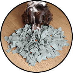 jouet tapis de fouille ou snuffle mat pour le chien et chiot