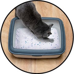 litiere-cristaux-silice-chat