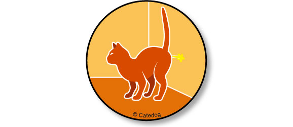 mon-chat-fait-pipi-sur-le-mur