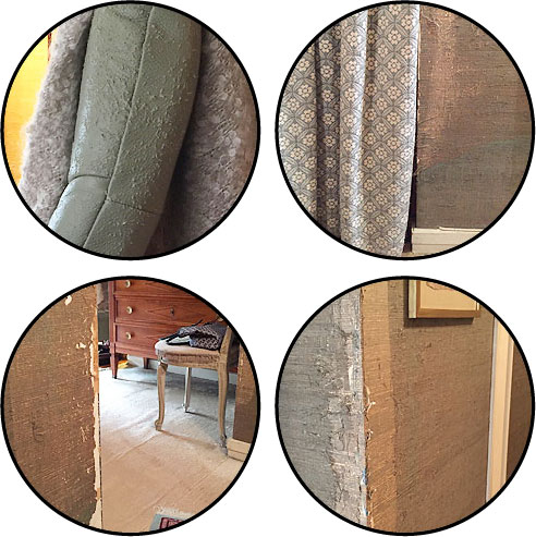 Mon chat griffes partout : les murs, le canapé, fait ses griffes sur moi
