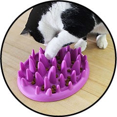 Plateau gamelle anti-glouton pour forcer le chat à manger lentement