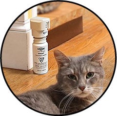 Répulsif chat Petsafe