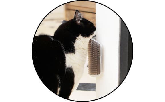 Brosse murale pour chat auto-toilettage