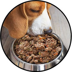 Alimentation du chien atteint d'une tumeur ou cancer