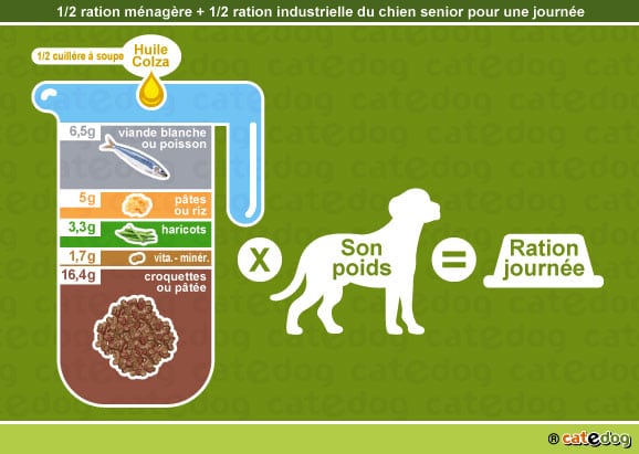 alimentation-ration-croquette-chien-age-senior