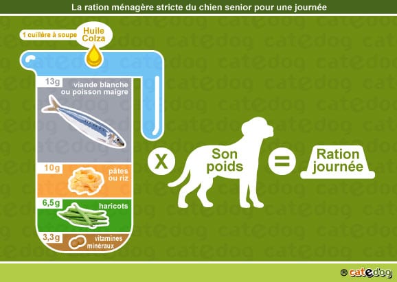 alimentation-ration-menagere-chien-age-senior