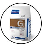g-gastro-hpm-insuffisance-pancreatique-chien-2