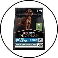 alimentation-croquettes-chien-dilatation-torsion-estomac