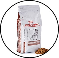Alimentation du chien sujet à une gastro-entérite
