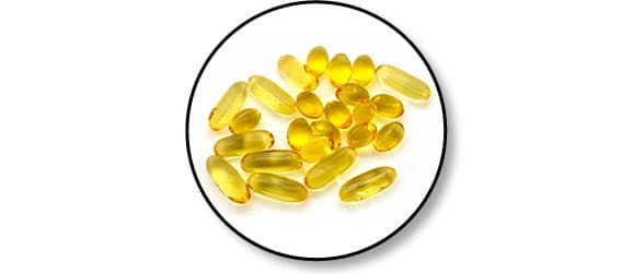 acides_gras_essentiels_chien_chat