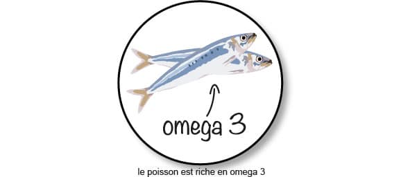 alimentation-poisson-omega-3-chien-chat