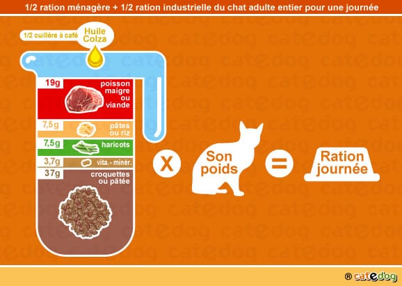 alimentation-ration-croquette-chat-adulte-entier