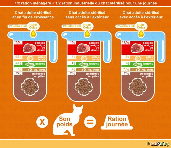 alimentation-ration-croquette-chat-sterilise-castre