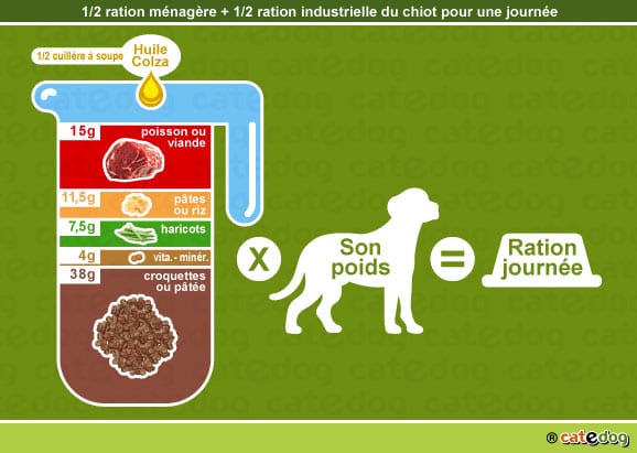 alimentation-ration-croquette-chiot