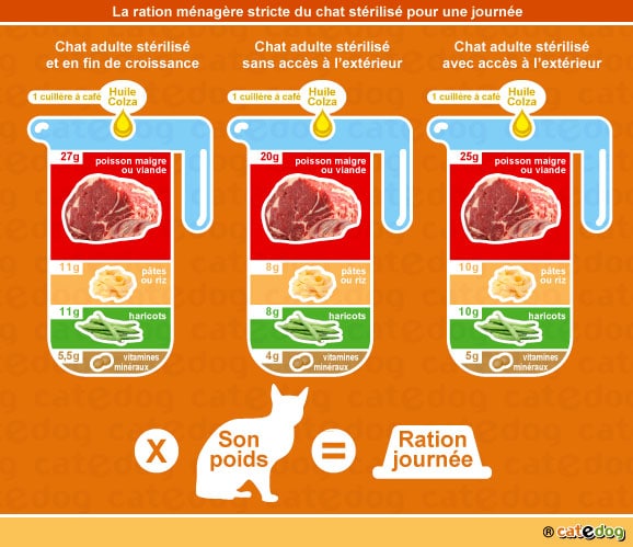 alimentation-ration-menagere-chat-sterilise-castre