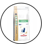 royal-canin-dental-chat