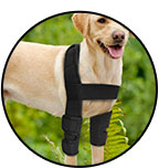 hygroma-coude-protection
