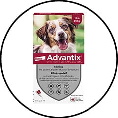 advantix-traitement-puce-tique-aoutat-chien