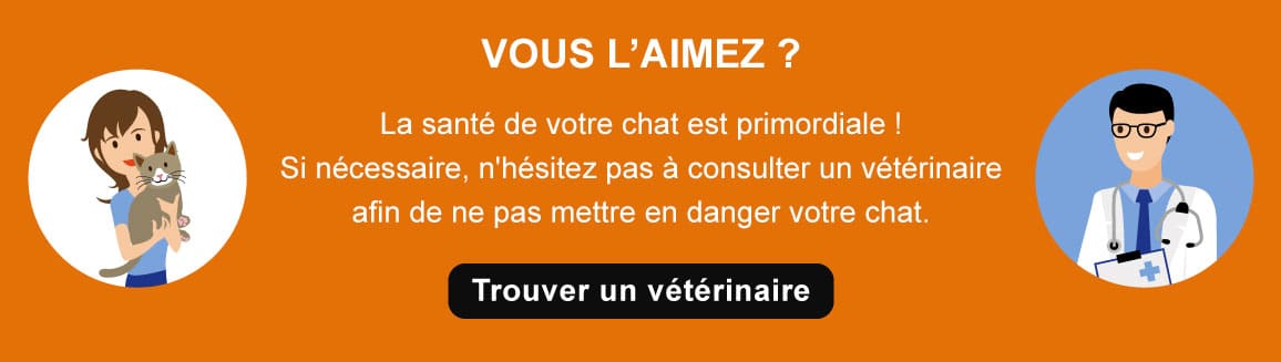 Conseil vétérinaire pour le chat