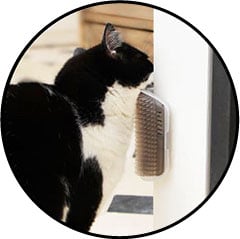 Brosse murale pour chat auto-toilettage