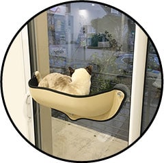 Panier lit hamac de fenêtre pour chat d'appartement