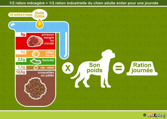 alimentation-ration-croquette-chien-adulte-entier